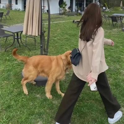 如果我是男生